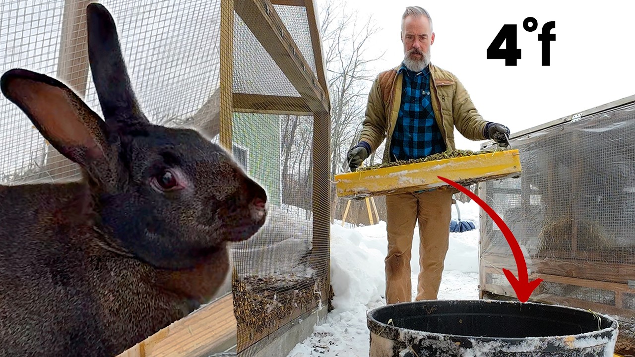 Winter Chores at Wineberry Hill: Manure, Mushrooms, Mealworms