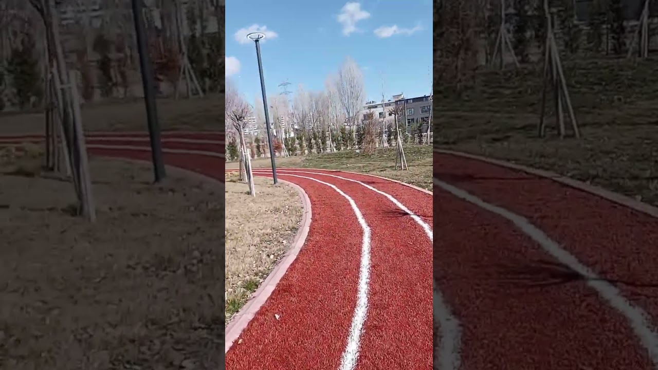Park Yürüyüşleri Ve Sohbetleri. Günlük İşler...