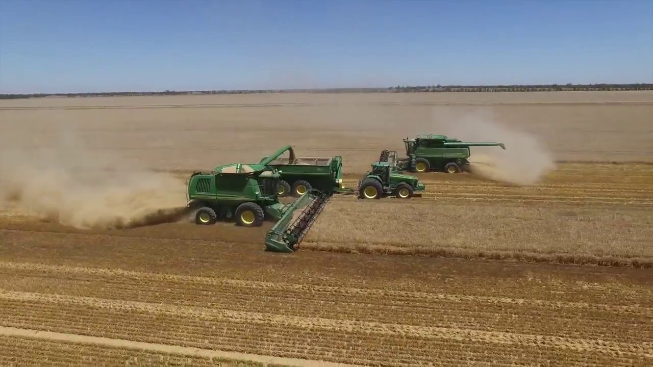 Molanco, Australian harvest 2015