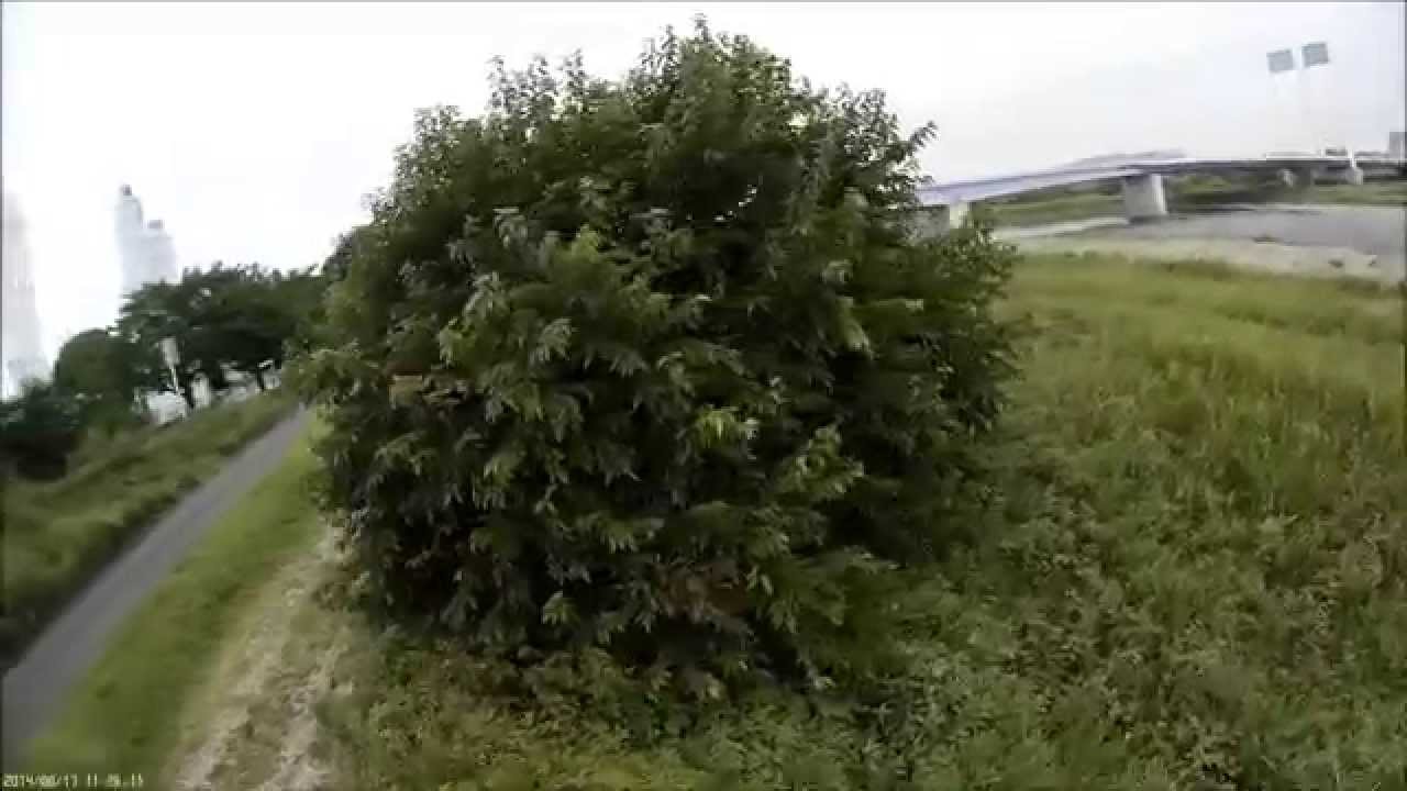 HobbyKing(DIATONE) FPV250 Aerial video (Mobius 