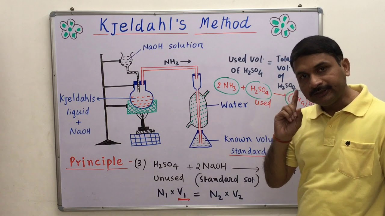 Estimation of Nitrogen by Kjeldahl's Method [ Quantitative Analysis ]