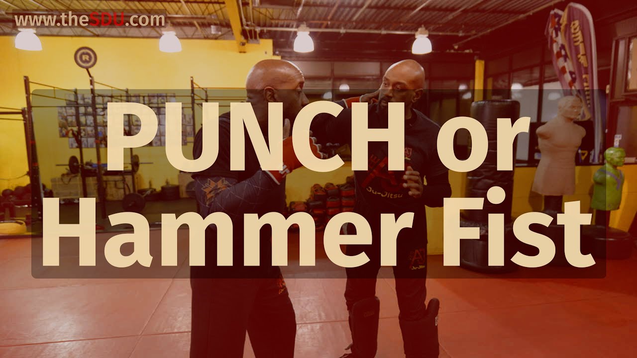 Punch Or Hammer Fist - Self Defense Techniques