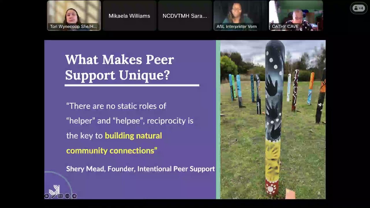 Strengthening Survivor-led Peer Support in Domestic Violence Programs (Webinar 2)