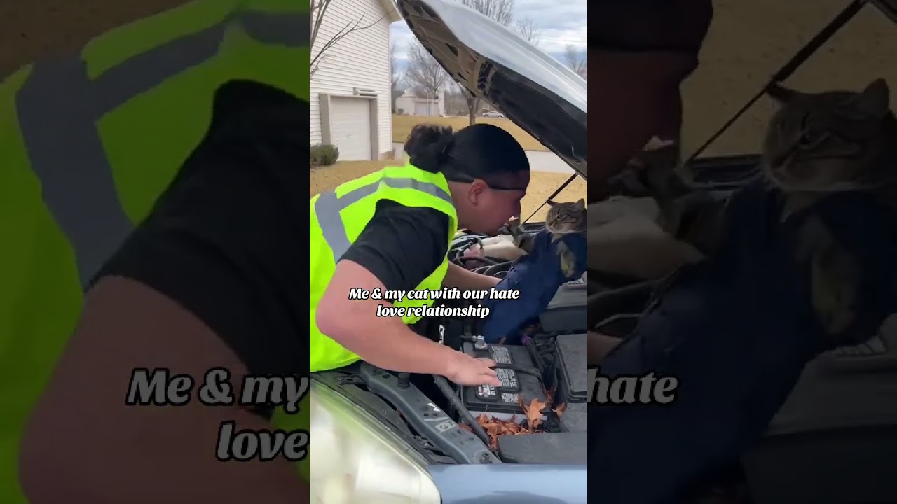 Я механик #afambobie #funny #relatable #comedy #fypシ #memes #funniestvideo #funnypost #fyp ￼