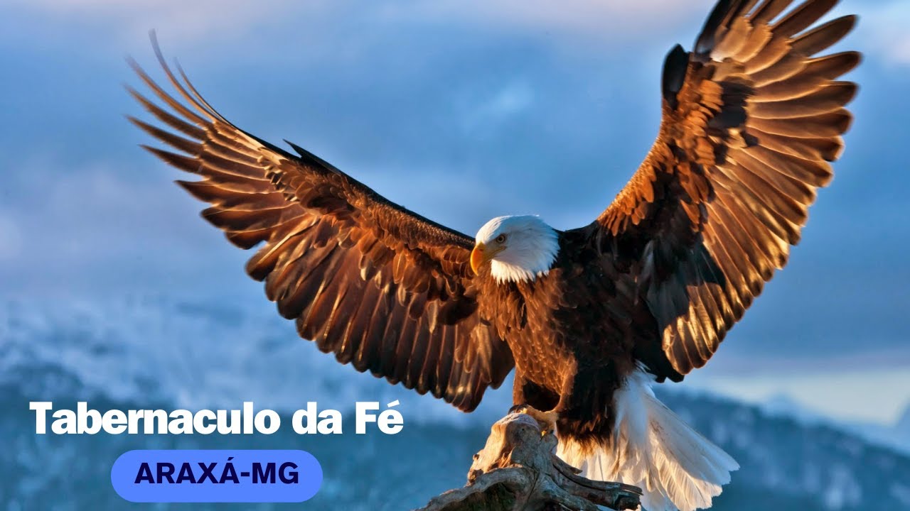 Transmissão Ao Vivo | Igreja Tabernáculo da Fé Araxá 01/03/2025