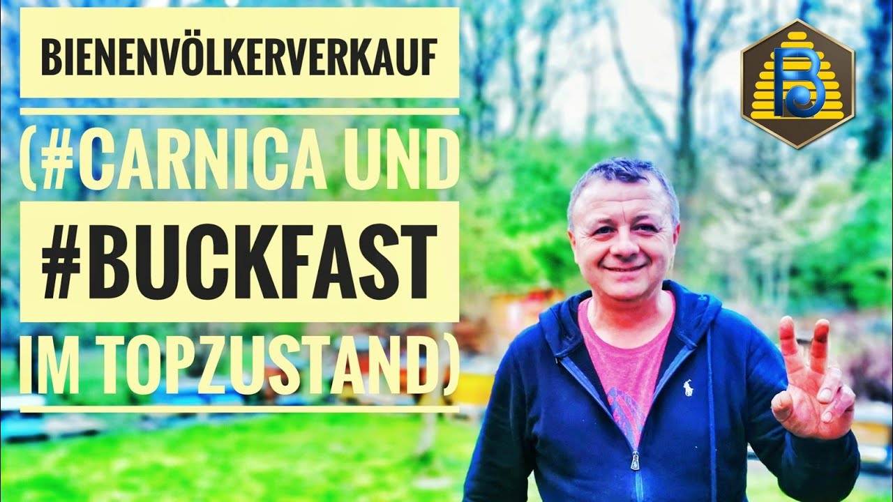 #Bienenvölker Verkauf | #Carnica und #Buckfast 2022 | #Bienendom