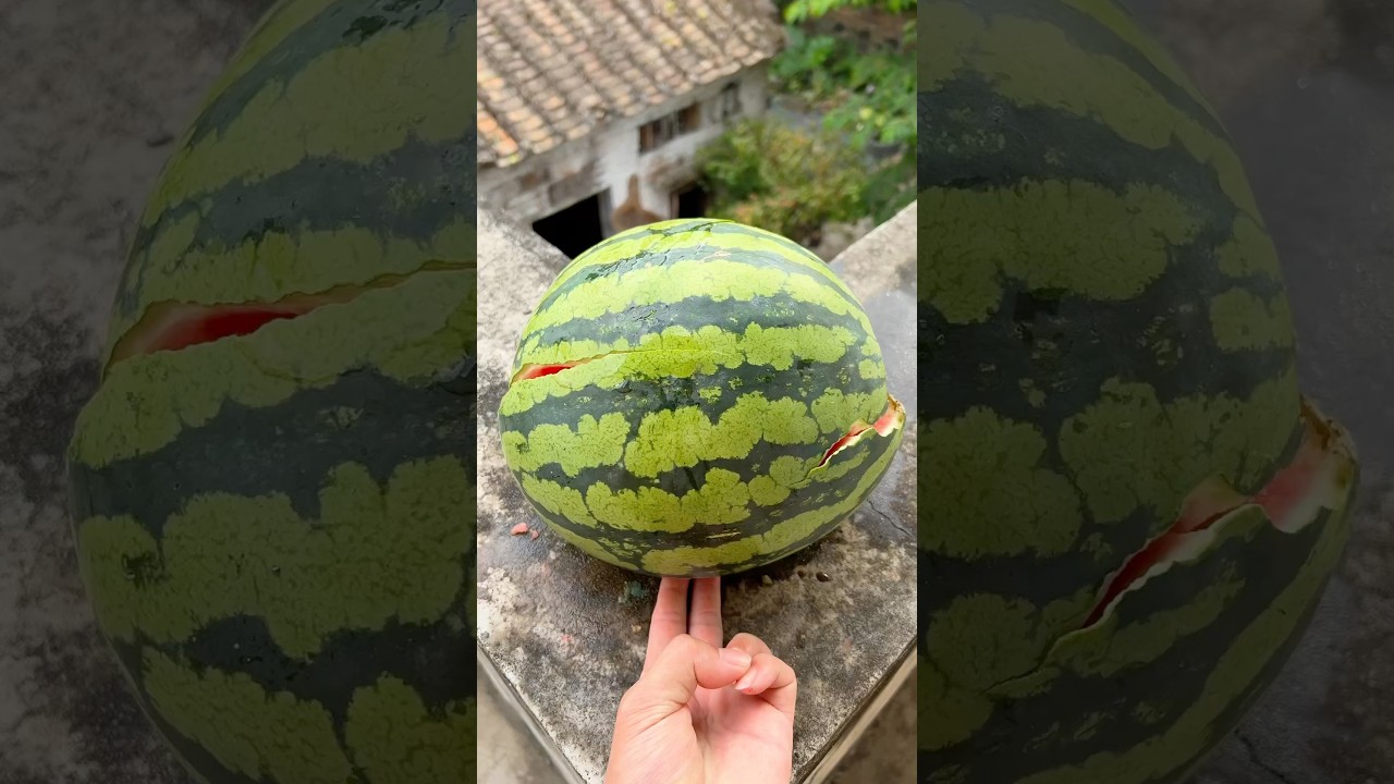 🍉💥Will a watermelon explode if it rolls off a tall building?#shorts