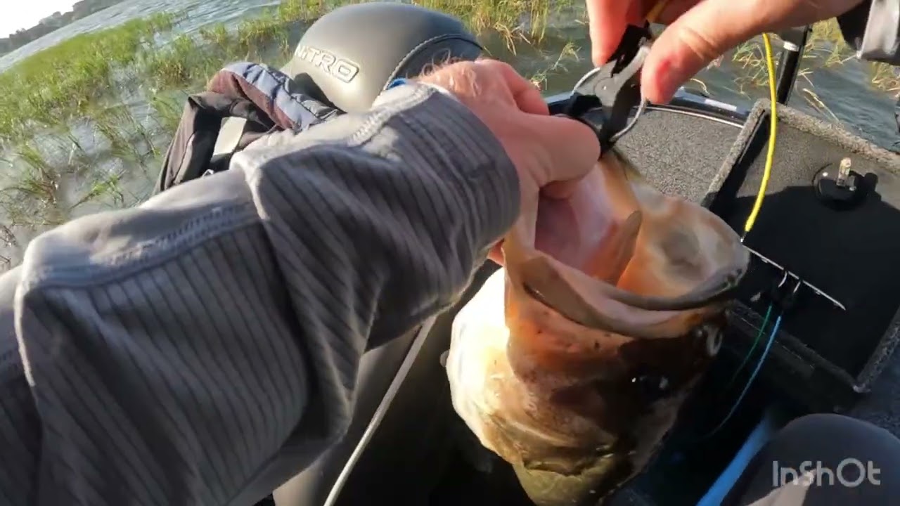 Fishing Winter haven chain.(Tampa pro bass event)