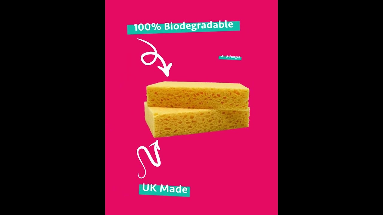 Why swap to plant based cleaning? #shorts