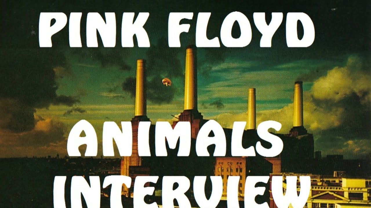 Pink Floyd 