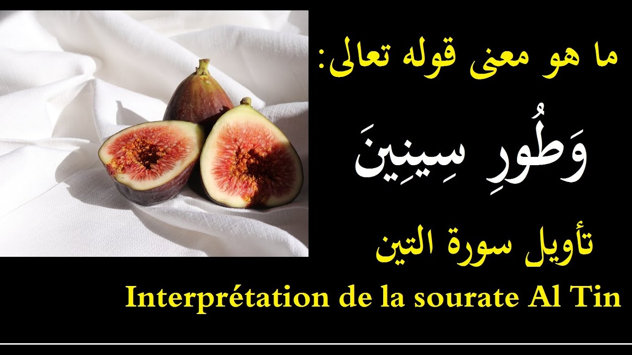 والتين والزيتون وطور سنين Interprétation de la sourate Al Tin