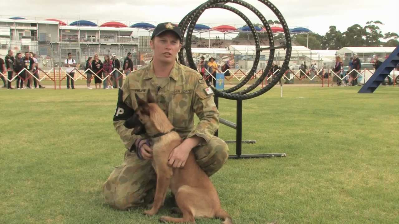 Military Working Dogs at the Clipsal 500