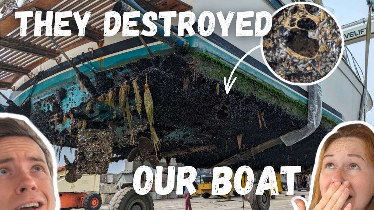 First Wash in 10 Years | Satisfying Barnacle Removal | Boat Detailing