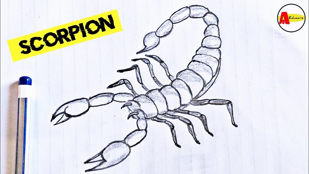 How to Draw a Scorpion Easily and Step by Step