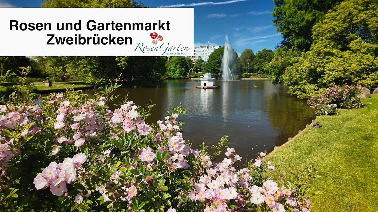 ROSEN UND GARTENMARKT IN ZWEIBRÜCKEN.