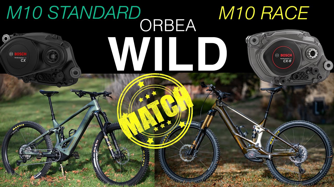 comparaison de 2 ORBEA Wild 2026: Race ou Standard ? le test vérité qui vous ne cache rien !