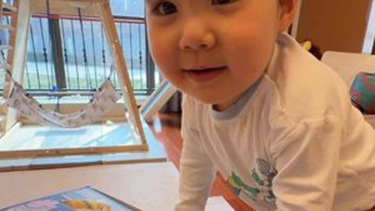 大尊先生拆盲盒