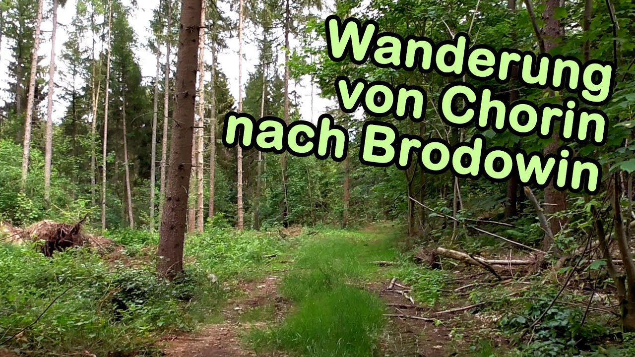 Mit dem 9-Euro-Ticket nach Chorin | Wanderung von Chorin nach Brodowin und Mückenplage (Teil 2/2)