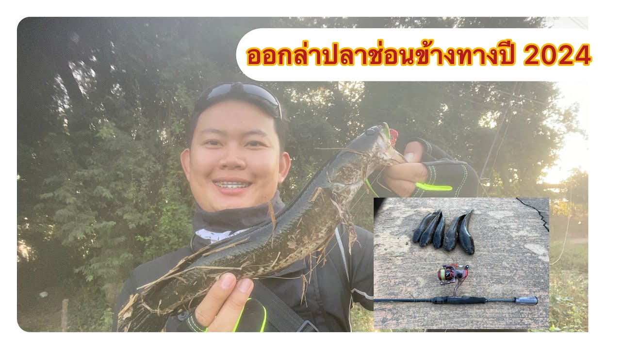 เปิดศักราชปลาช่อนข้างทางปี 2024 ลุงก็ด่า ปลาก็แดกก!!!