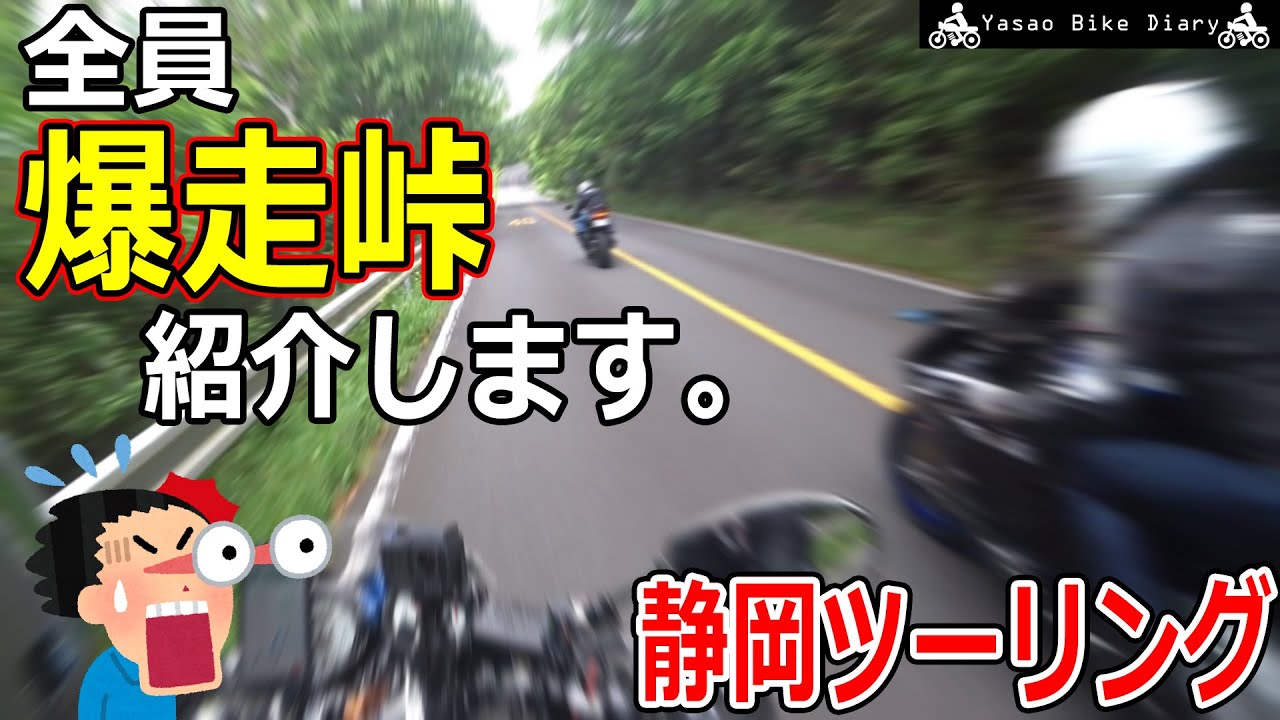 【静岡ツーリング】攻めるライダーだらけの峠に行ったら、合計●●台のバイクにブチ抜かされました…【モトブログ/SR400】【日本平】【三保の松原】