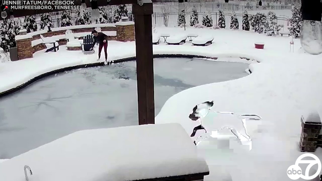 Tennessee woman jumps into frozen swimming pool to rescue dog | ABC7