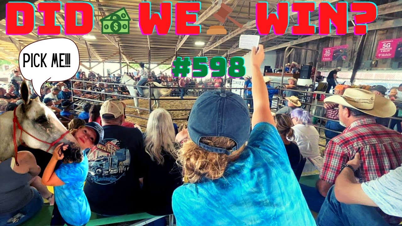 КАК КУПИТЬ ЛОШАДЬ НА АУКЦИОНЕ|Аукцион Аппалуза|Мы купили лошадь?!