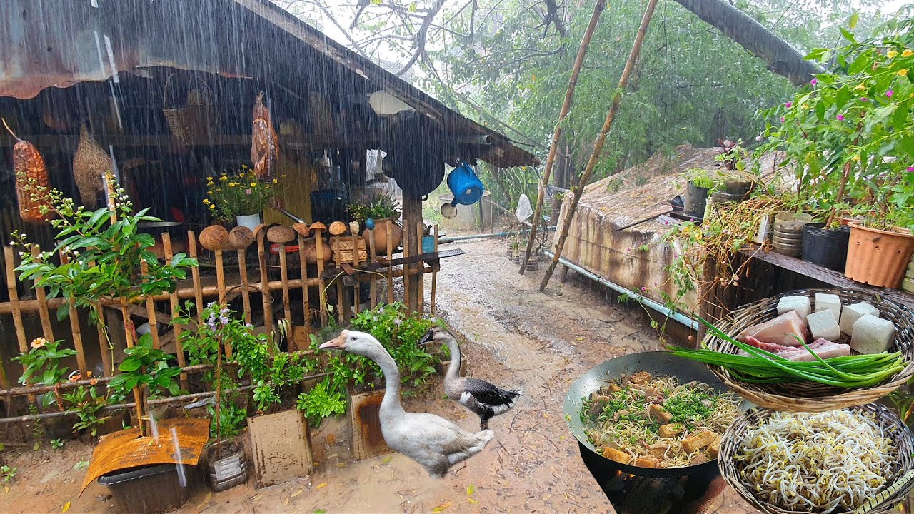This is Village Life During the Heavy Rainy Season | Cooking Country style food for whole day