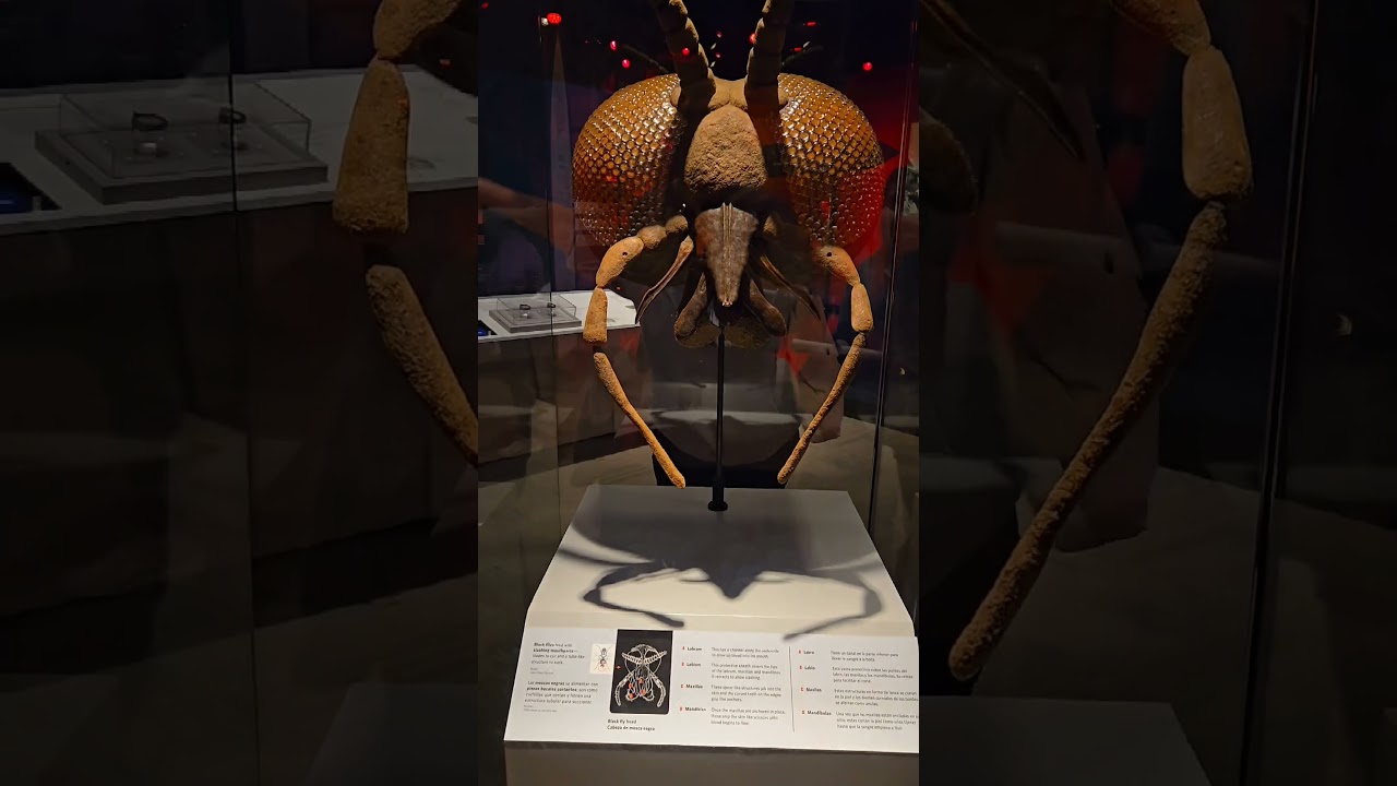 Members Night at the #FieldMuseum was a ton of fun, as always