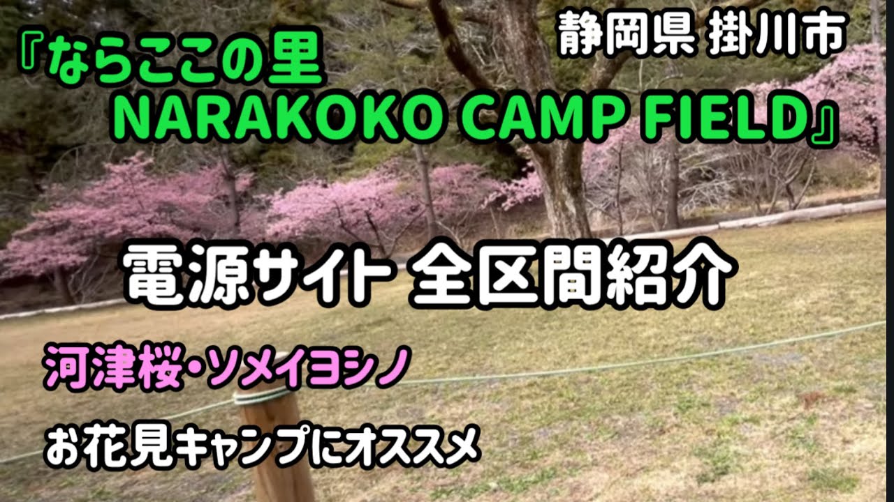 【電源サイトの全区間紹介】お花見キャンプで最高のロケーション『ならここの里』『NARAKOKO CAMPFIELD』