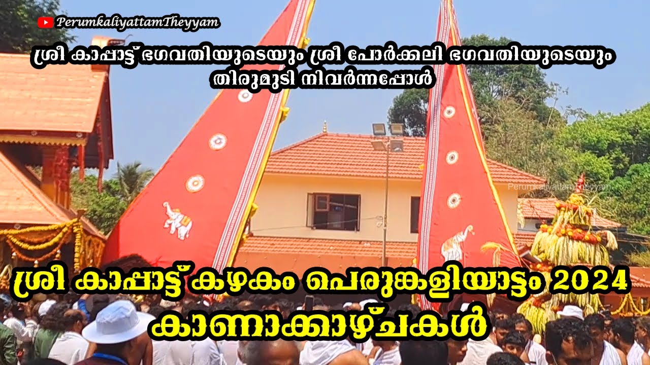ശ്രീ കാപ്പാട്ട് കഴകം പെരുങ്കളിയാട്ടം 2024 ഭഗവതിമാരുടെ തിരുമുടി നിവർന്നപ്പോൾ || Kappaattu Kazhakam