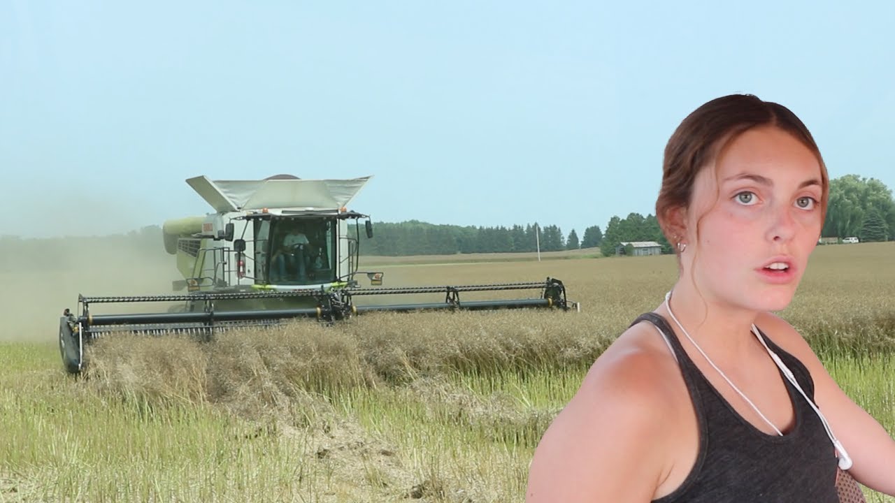 trying out our NEW CLAAS COMBINE in winter canola! | 2021 Wheat / Canola Harvest Day 2 & 3