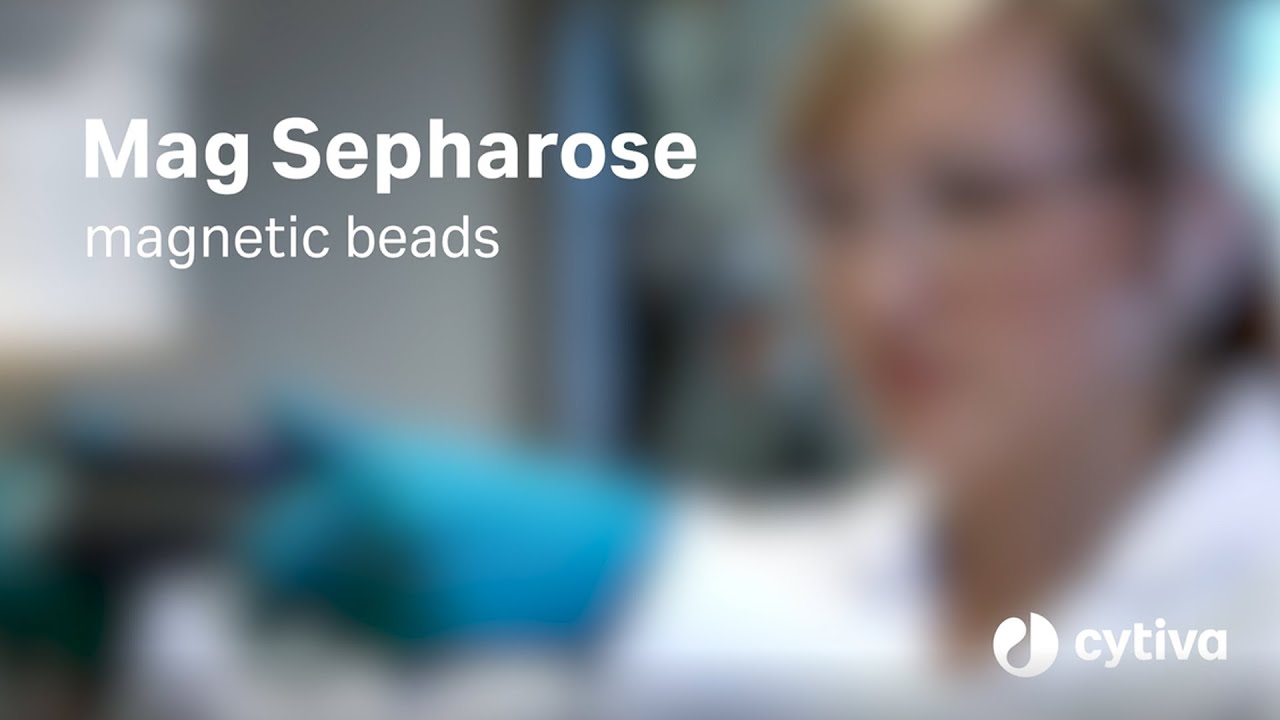 Магнитные шарики Mag Sepharose™: обзор и демонстрация