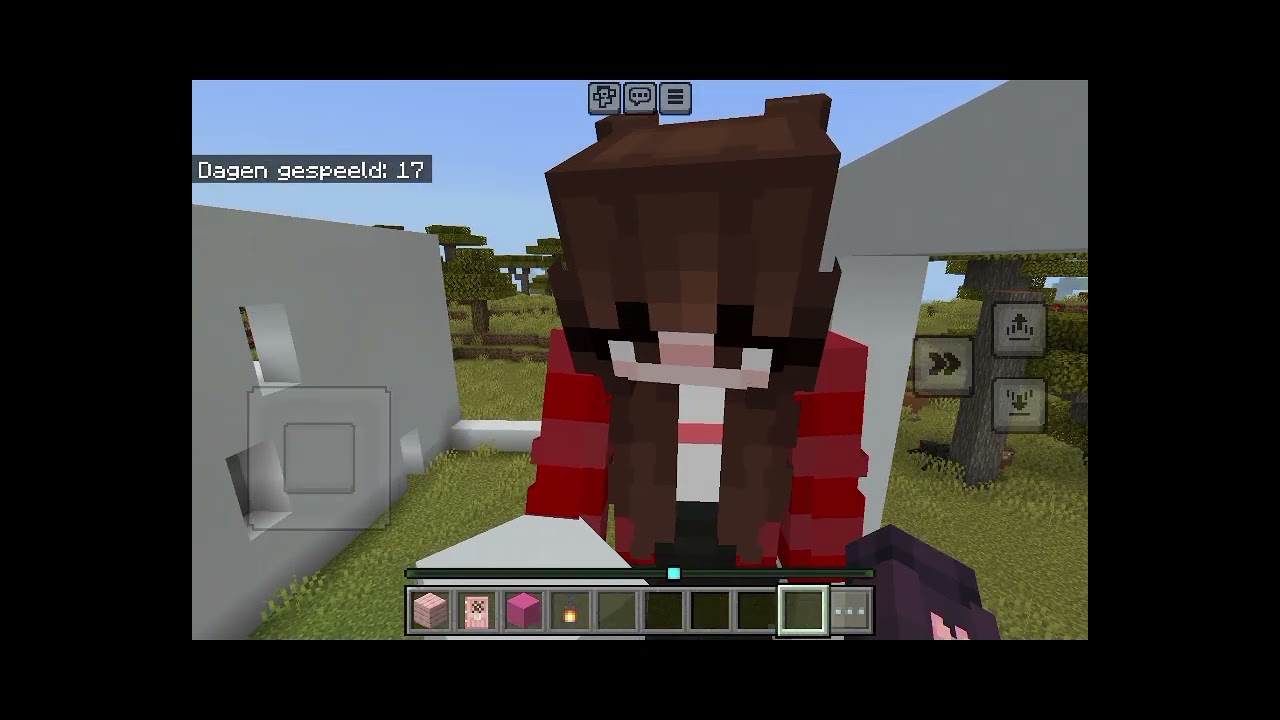 Minecraft met louise 