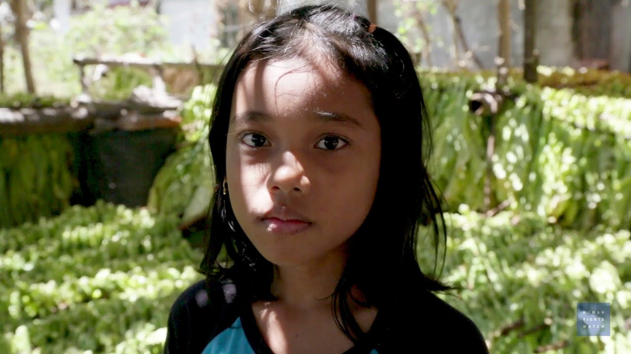 Hazardous Child Labor on Indonesian Tobacco Farms