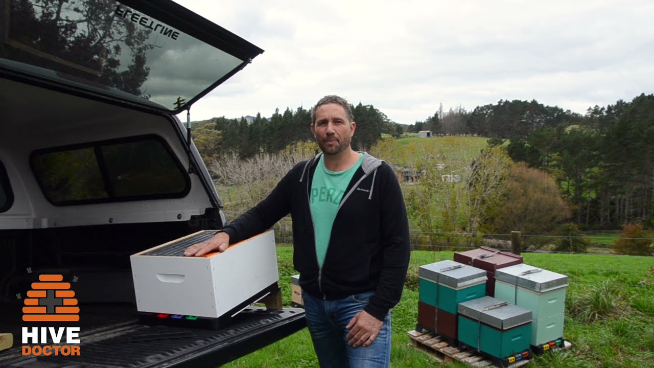 Hive Doctor Smart Bottom Board