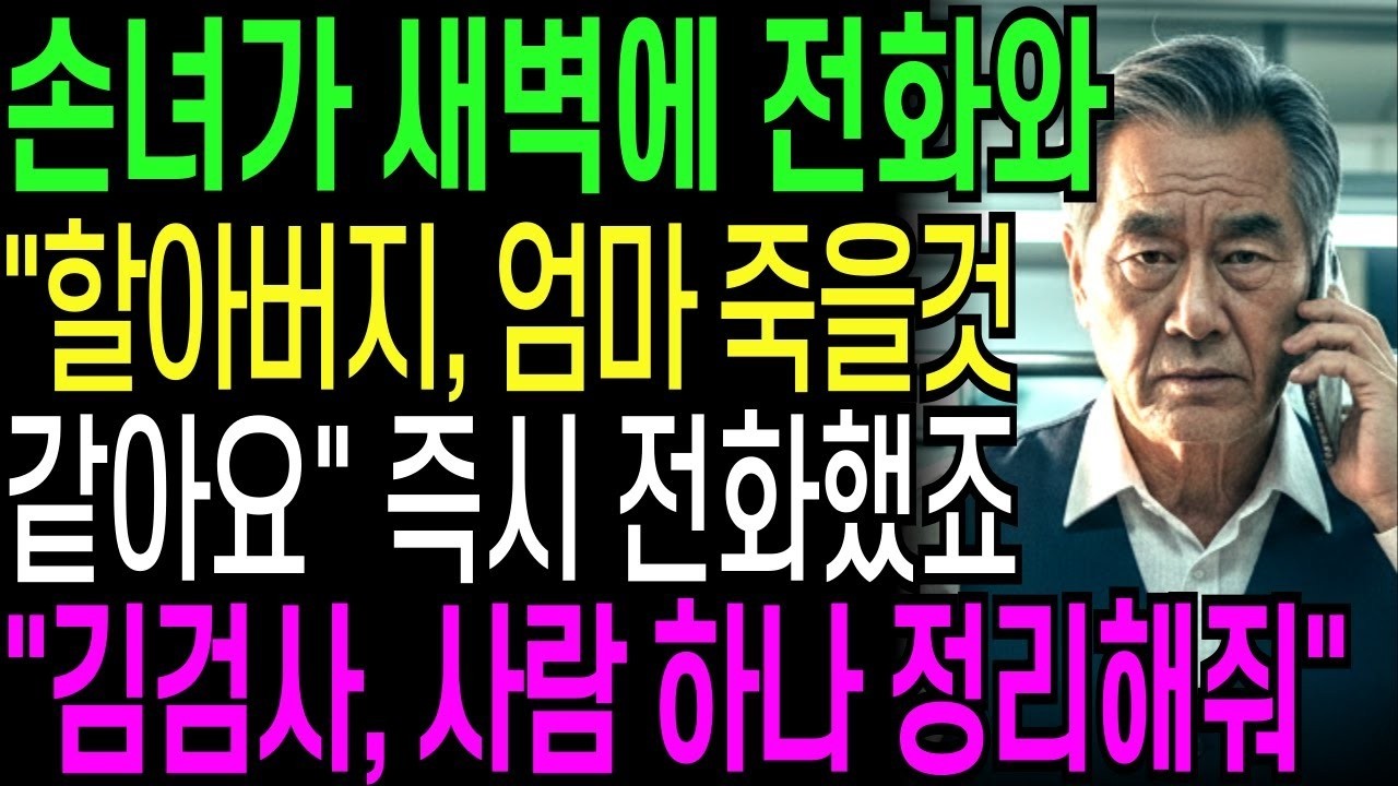 살 손녀가 새벽2시에 전화와 '할아버지, 엄마 죽을것 같아요' 즉시 전화했죠 '김검사, 사람 하나 정리해'   오디오북   창작드라