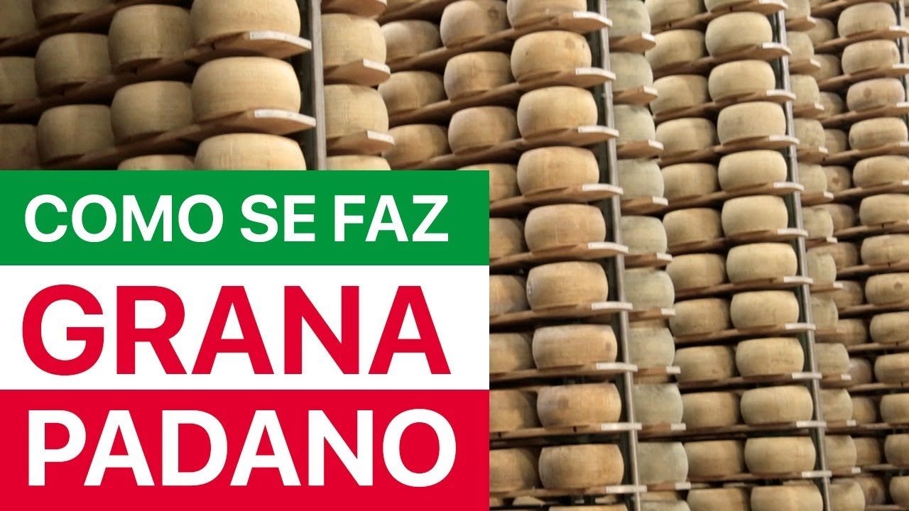 Como é a incrível produção do Queijo Grana Padano? 🧀 Experiência