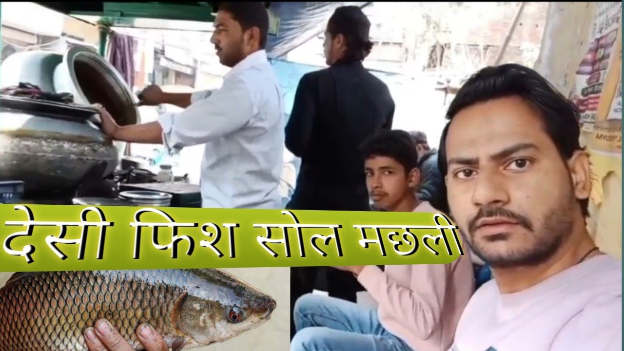 Amezing Big Sole Fish In Amroha #vlogvideo #fishing #salmanhardworkingboy 