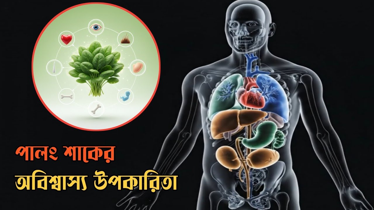 প্রতিদিন পালং শাক খেলে কী হয়? জানলে অবাক হবেন! #BrainLabBD #HealthTips #HealthyLife #NaturalFood