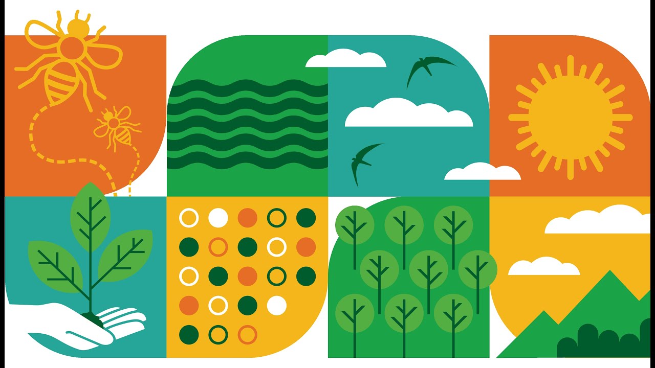 Cumbria Local Nature Recovery Strategy Launch