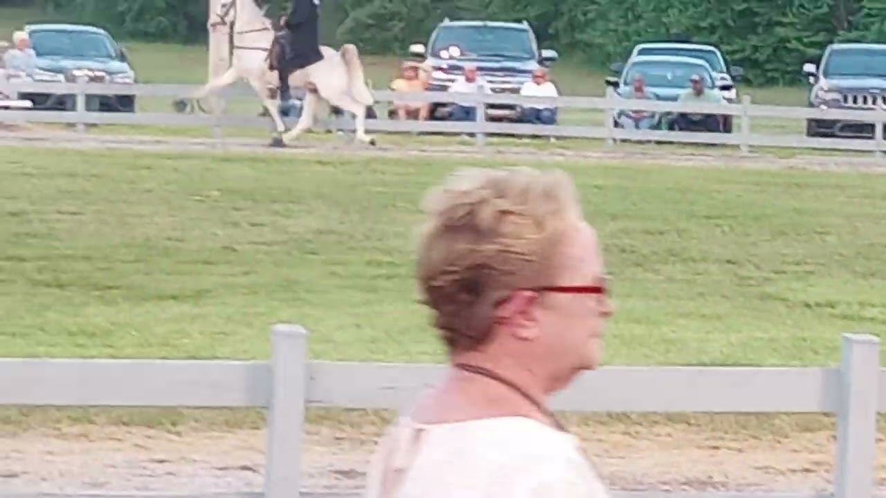 Tennessee Walking Horse Mid-South Horse Show with my family 4-7-23