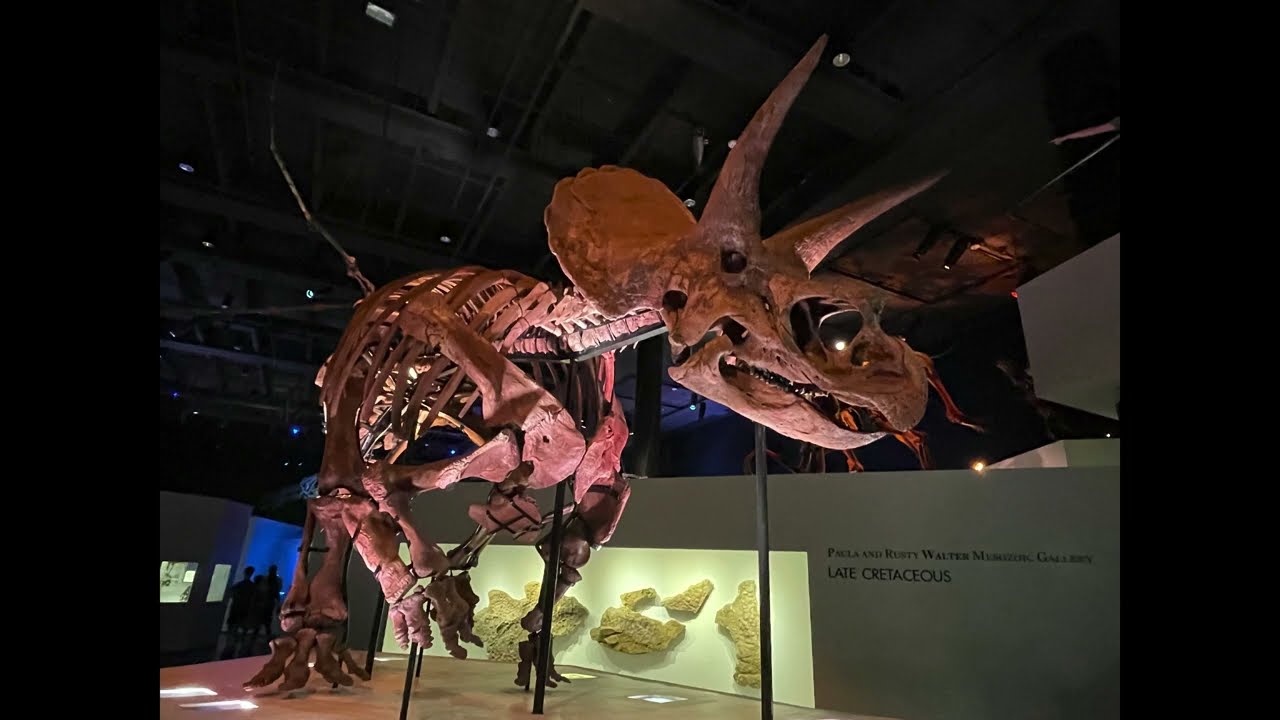 Discover the Fascinating World of Triceratops