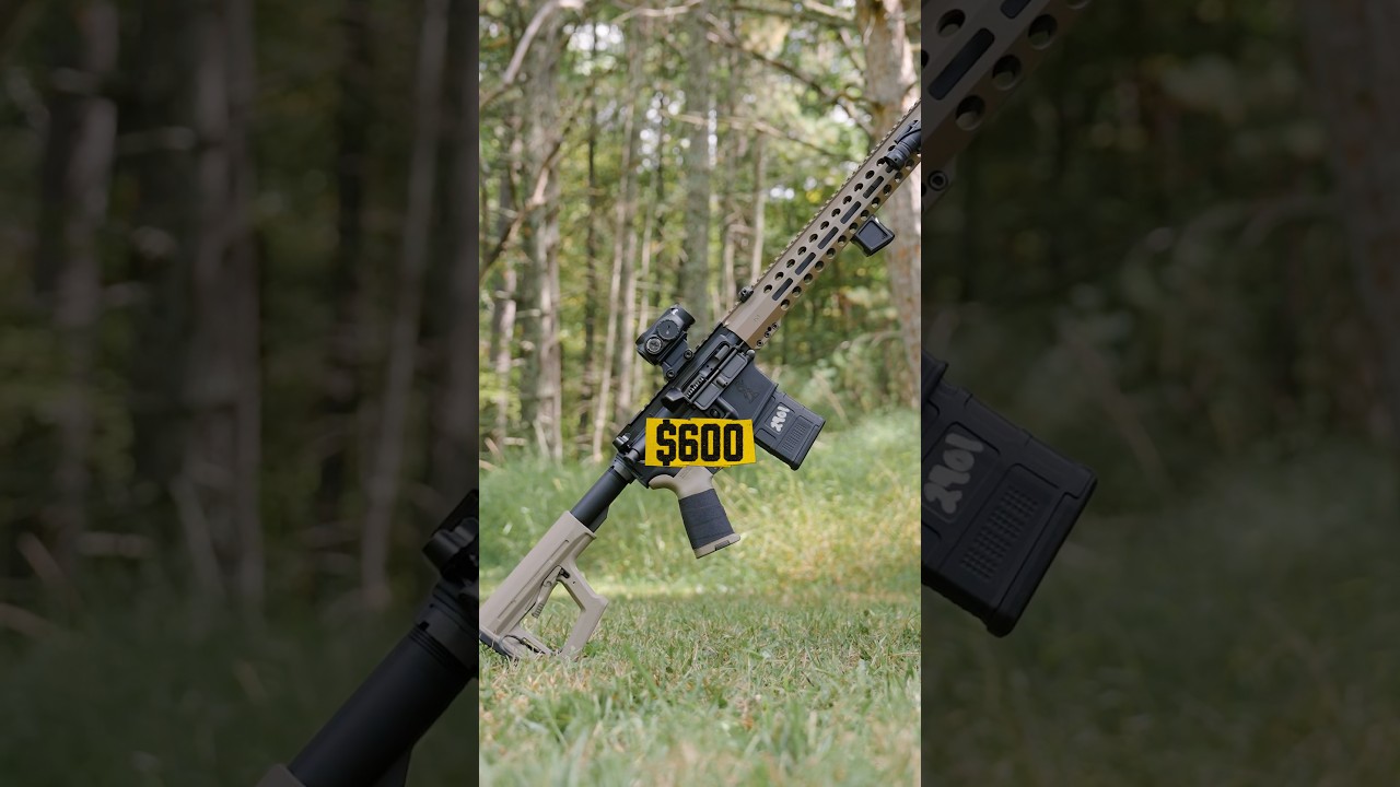 Лучший бюджетный AR15? PSA Guardsman-15