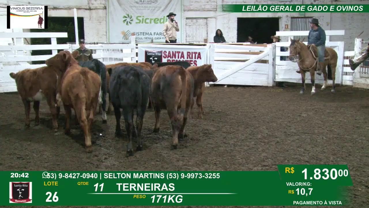 REMATE GERAL DE GADO E  OVINOS - SINDICATO RURAL DE PIRATINI