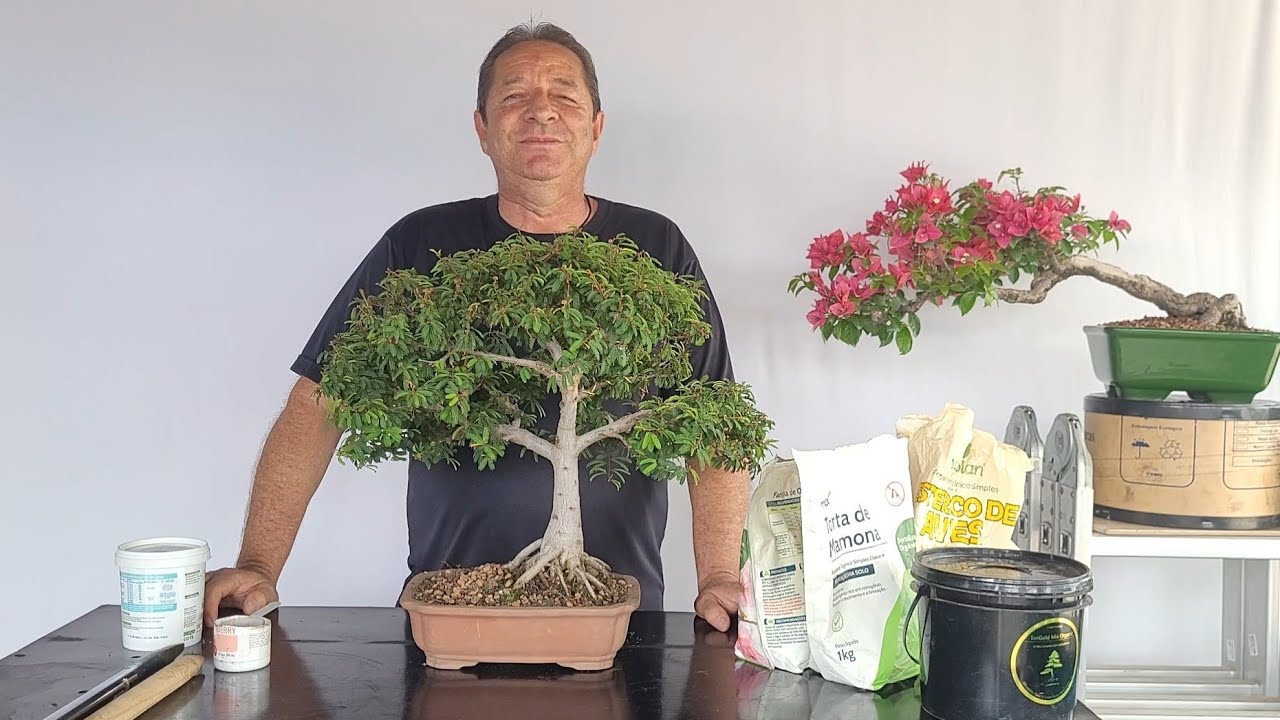 Como  Usar  Mix de Adubos de Maneira Correta. 