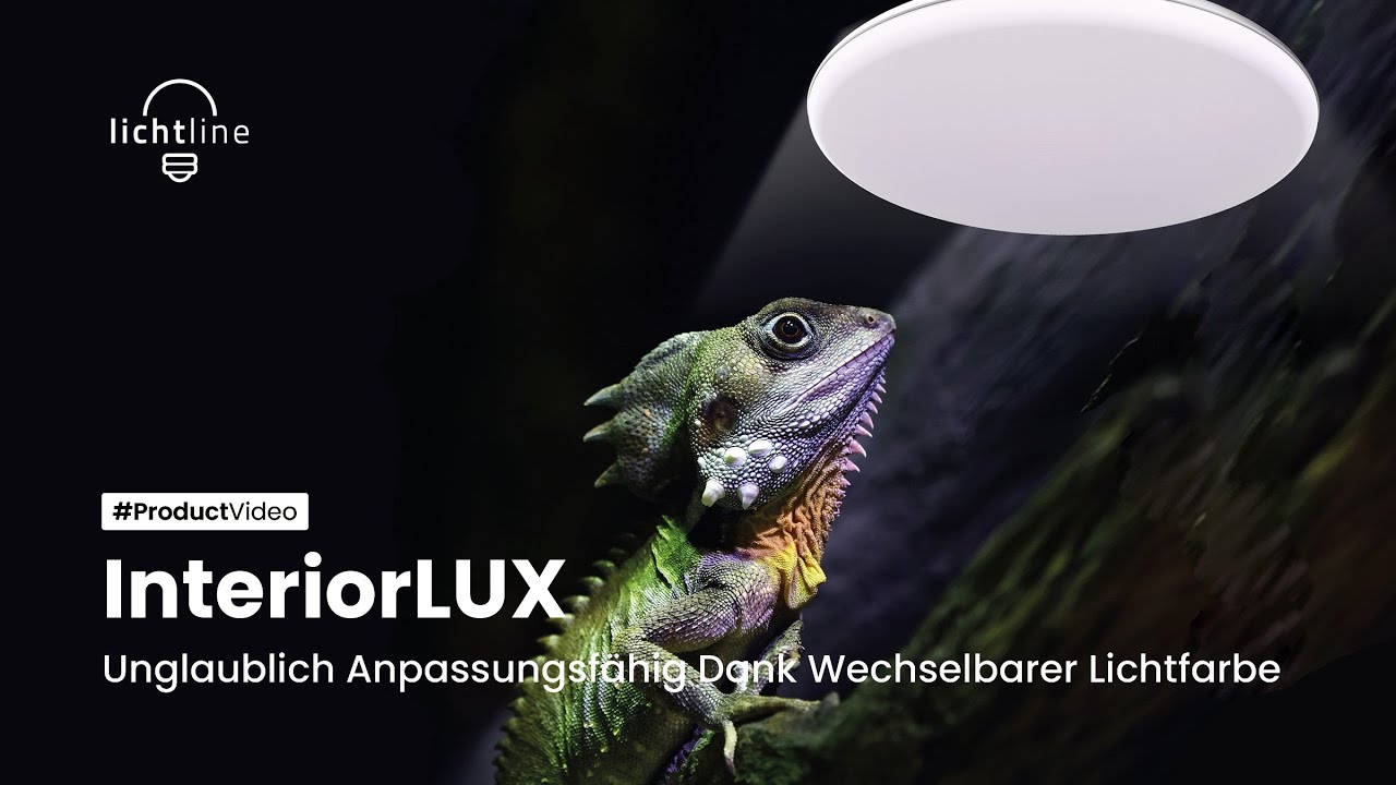 Hammerleuchte InteriorLUX - Produktvideo