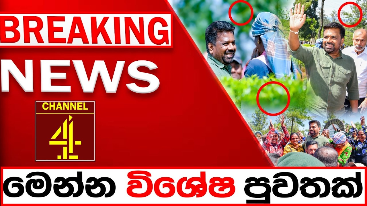 BREAKING NEWS|Channel 4