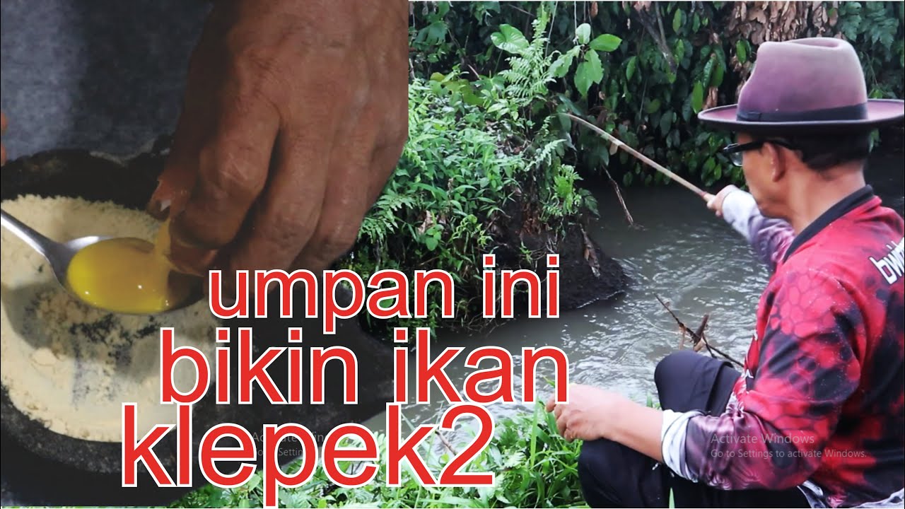 Umpan ini gila.!! Baru turun langsung dihajar babonan. Resep rahasia umpan gacor ikan sungai
