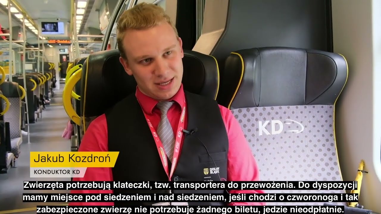 Z psem pociągiem? Bez problemu