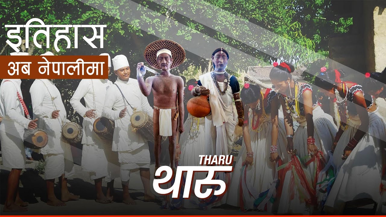 थारु (Tharu) || History in Nepali